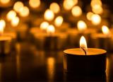 A free textbook is being offered to teachers to help improve teaching about the Holocaust