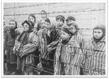 Holocaust Memorial Day: How survivors' video testimonies are helping school students to grasp the horror of the Holocaust