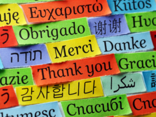 European Day of Languages activities
