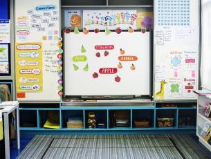Top 30 primary display resources
