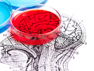 Monitoring pupil progress in science