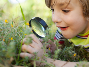 Outdoor learning ideas for primary