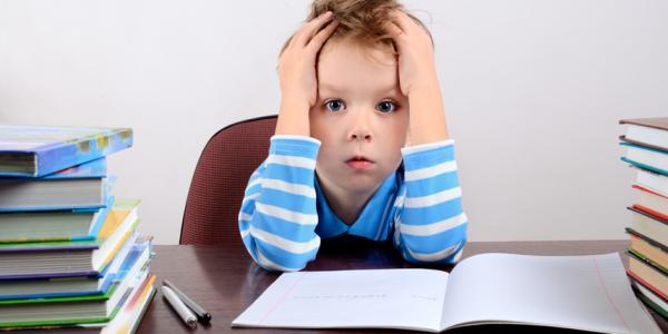 Should homework be mandatory image