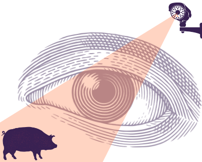 Orwell - secondary English teaching resources