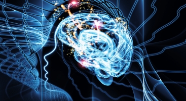 Why subjects need their own take on the ‘cog-sci’ revolution
