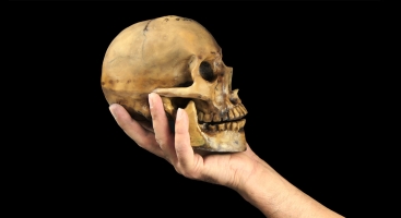 Hand holding skull English Literature