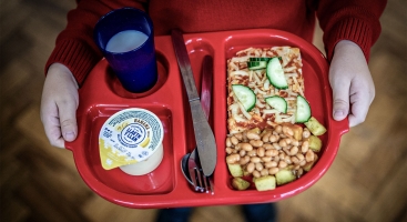 Free school meals tray