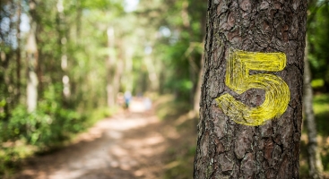 Path with a hike marker