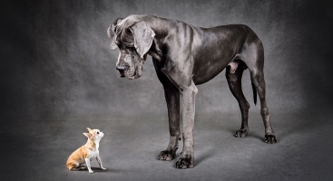 Small primary schools need to think big, says one chair of governors