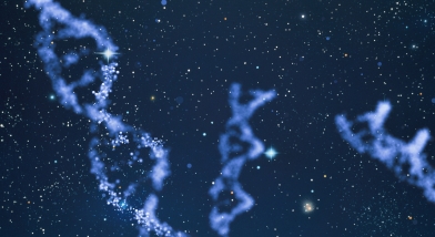 DNA stars