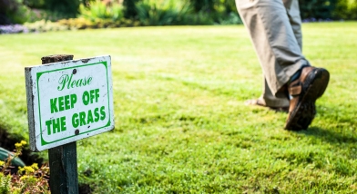 Walking on grass