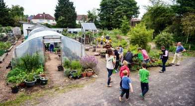 community allotments