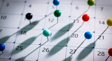 Calendar pins days of month