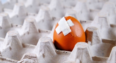 egg with plaster