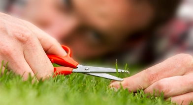 Man cutting blades of glass with scissors