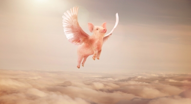 Why Labour-supporting trusts are not ‘flying pigs’