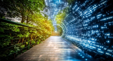 Path of nature and future