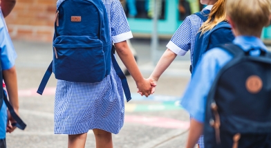 Primary mentor