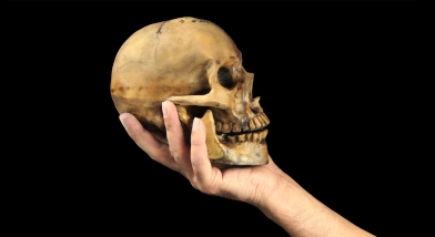 Hand holding skull English Literature