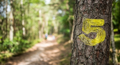 Path with a hike marker