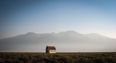 The number of single-academy trusts is in decline after government efforts to promote groups of schools