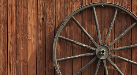 6 tips for stepping into your first ASN job