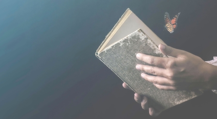 Book butterfly