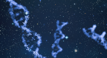 DNA stars