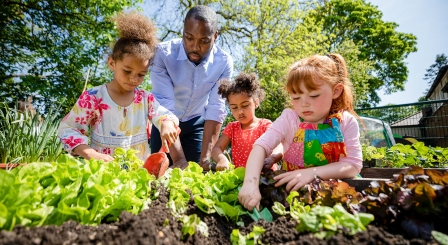 planting in ground