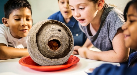 EYFS: How unusual objects can nurture curiosity and creativity