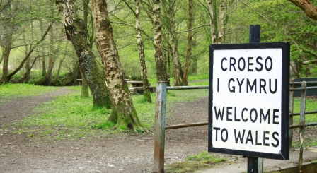 Estyn chief inspector: ‘I want Welsh schools to welcome inspectors in’