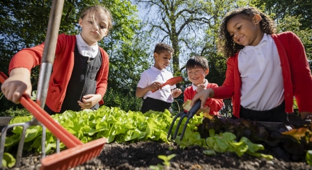 How outdoor learning can reshape Scottish education