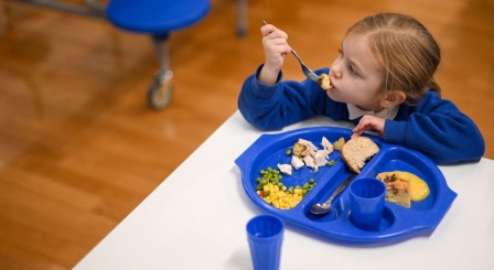 Child sat eating with school lunch tray