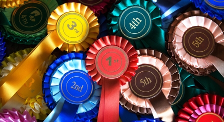 Why digital profiles could more accurately reflect students’ achievements