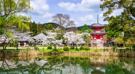 Kyoto temple