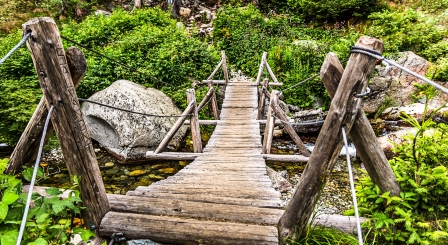 Wooden footbridge across creak