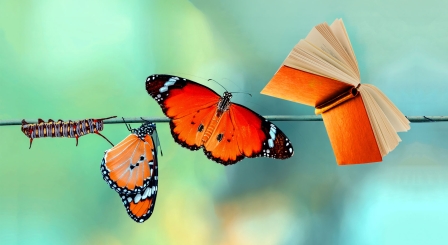 Butterfly evolving to book