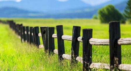 Boundaries