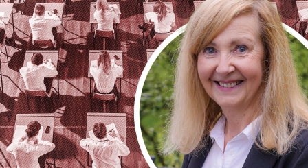 Professor Louise  Hayward