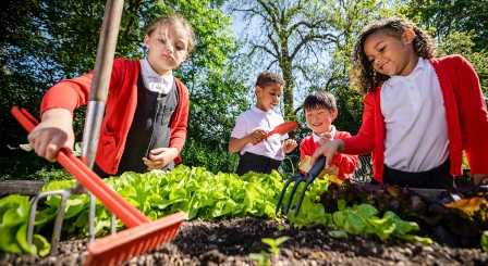 School children in garden