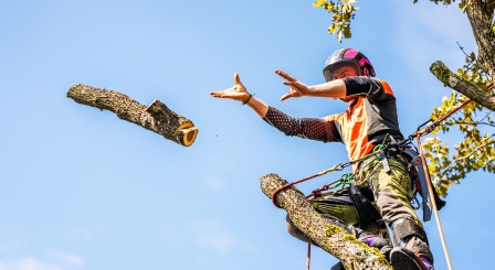 Cutting unnecessary elements from lessons can work wonders