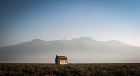 The number of single-academy trusts is in decline after government efforts to promote groups of schools