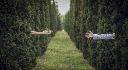 Inclusion in education: School autonomy should not have to mean 'finding gaps in hedges', says James Searjeant