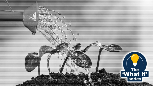 Watering plant