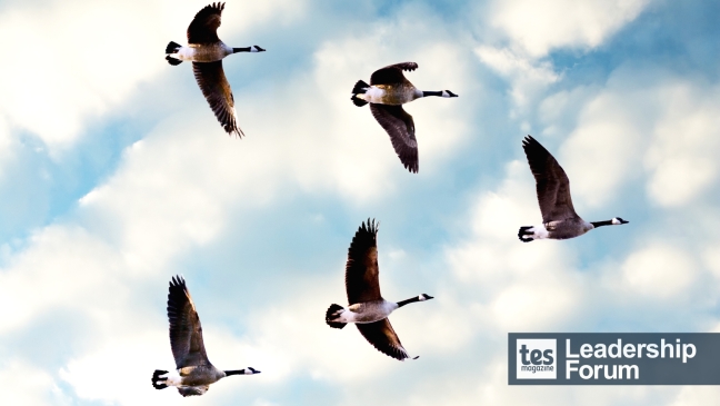 What does good leadership look like as a trustee?