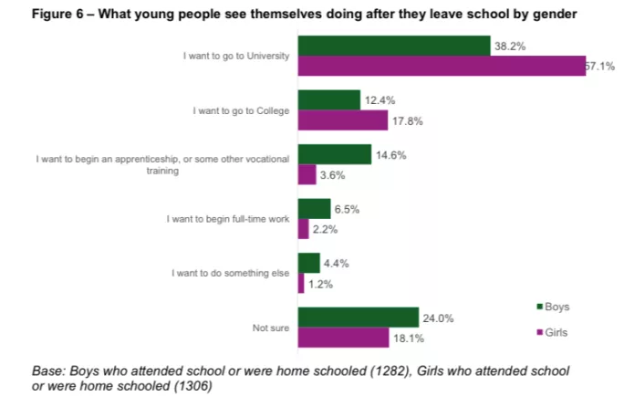 What young people see themselves doing after they leave school