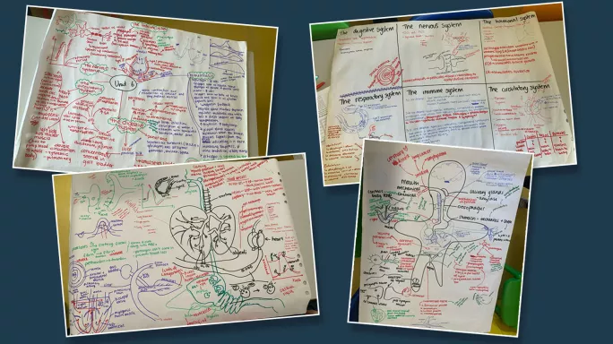 Embedding postive revision habits 