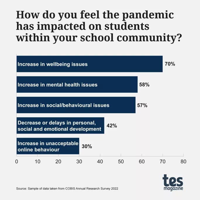 Cobis data on pandemic impact on pupils