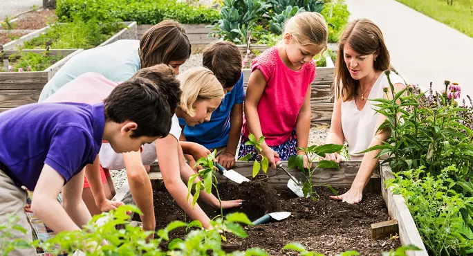 Pedagogy garden