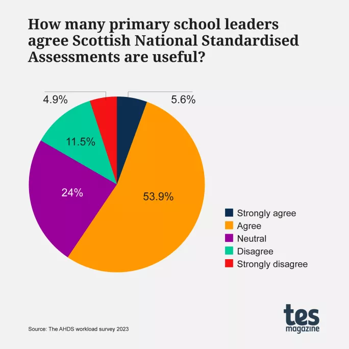 How many primary school leaders agree SNSAs are useful?